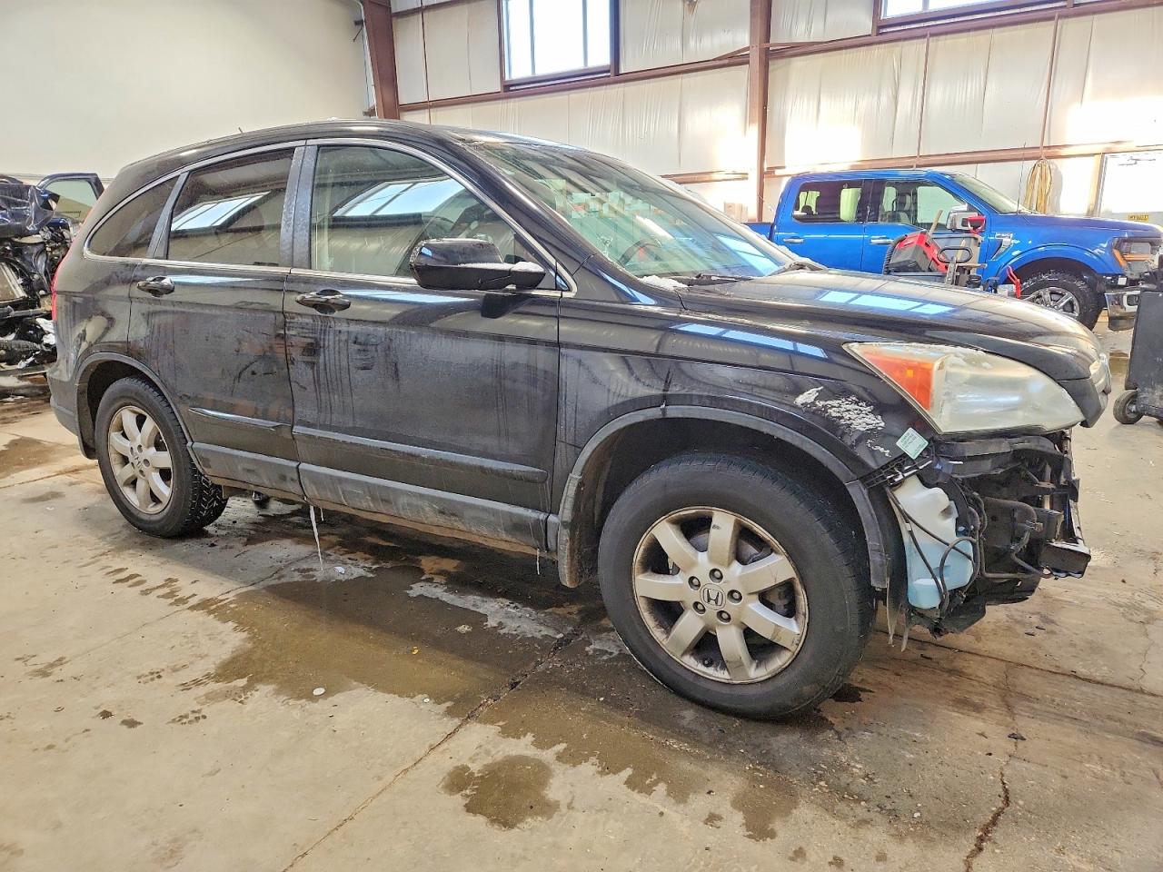 2009 HONDA CR-V EXL photo 7