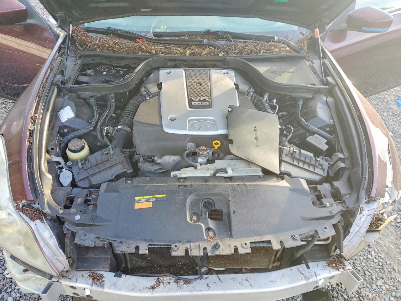2010 INFINITI G37 BASE photo 11