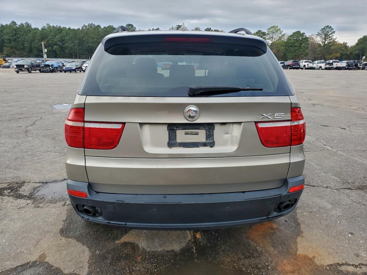 2009 BMW X5 XDRIVE30I photo 6