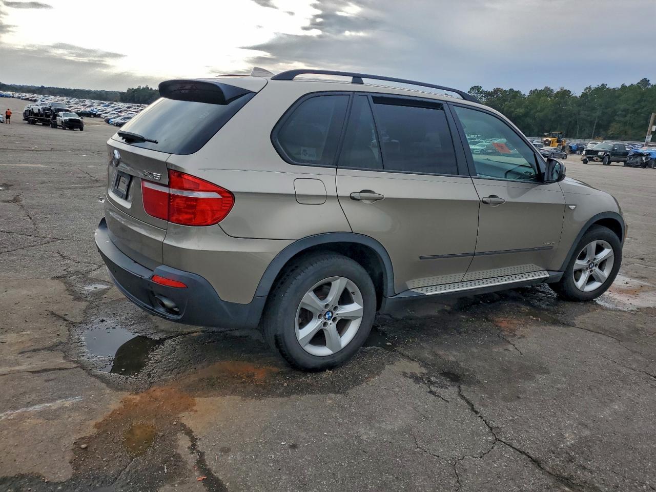 2009 BMW X5 XDRIVE30I photo 3