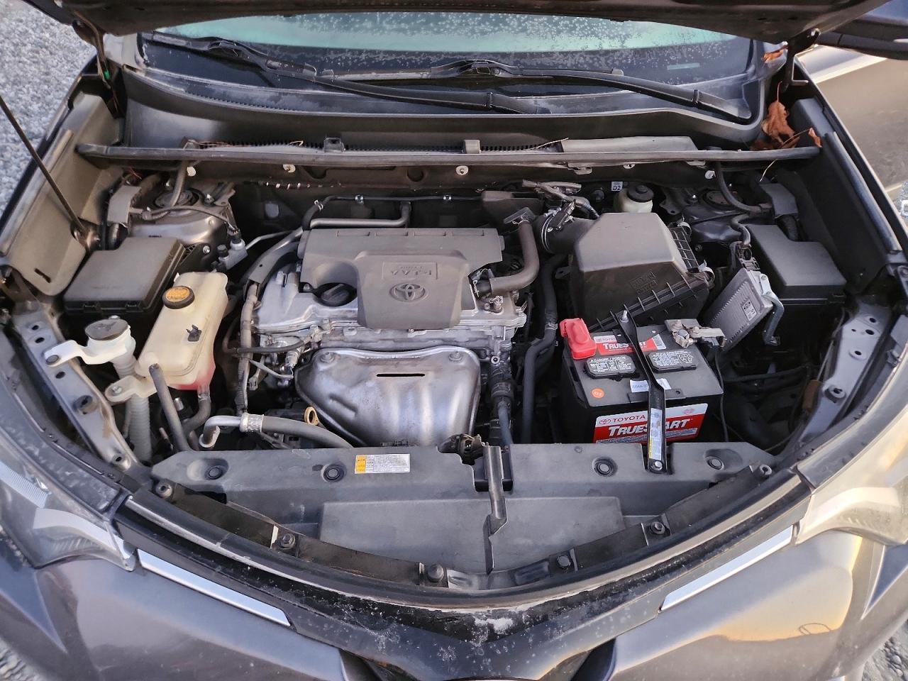 2016 TOYOTA RAV4 XLE photo 11