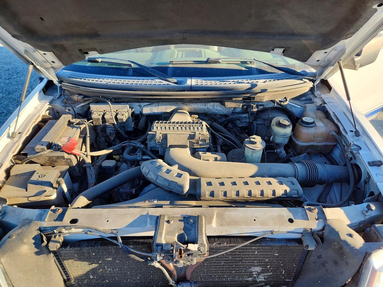 2007 FORD F150 photo 12