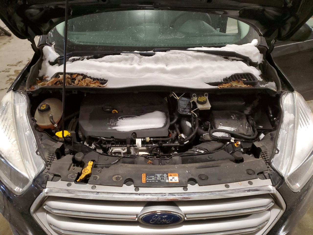2017 FORD ESCAPE SE photo 12