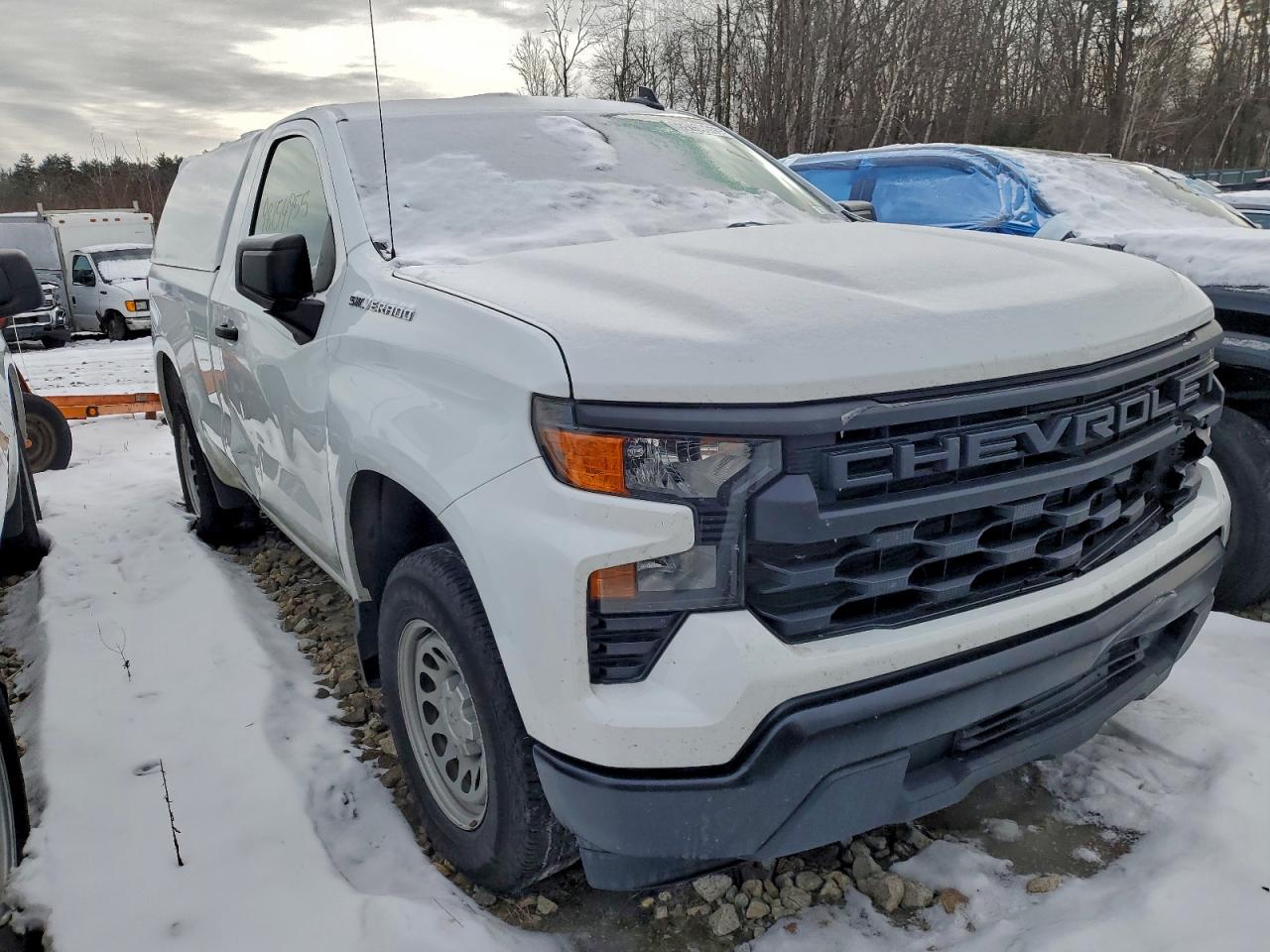 2023 CHEVROLET SILVERADO C1500 photo 4