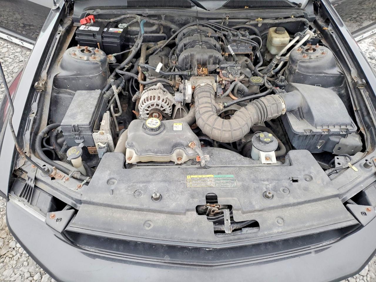 2008 FORD MUSTANG photo 11
