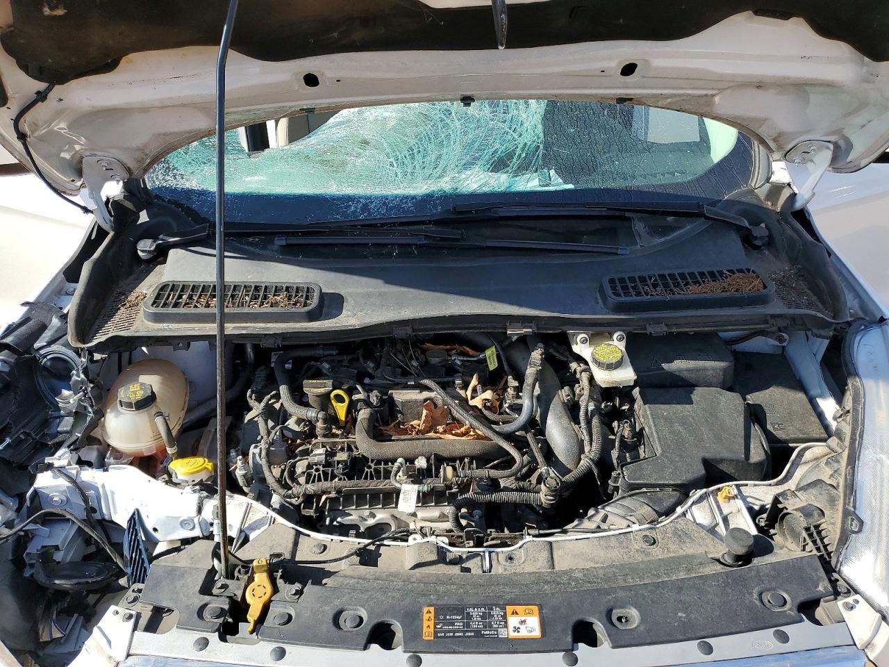 2019 FORD ESCAPE SE photo 23