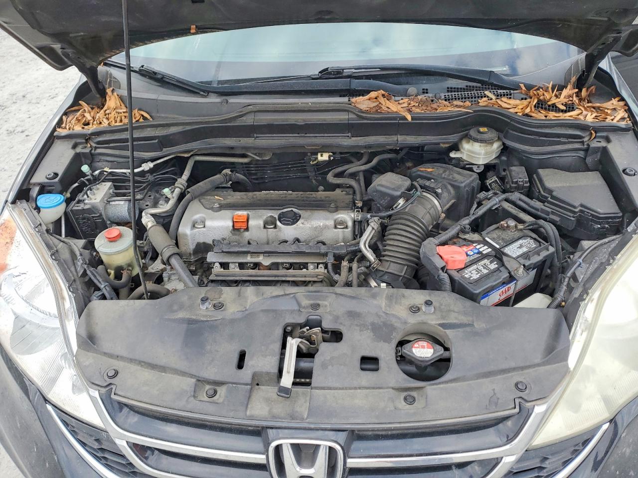 2010 HONDA CR-V EXL photo 12