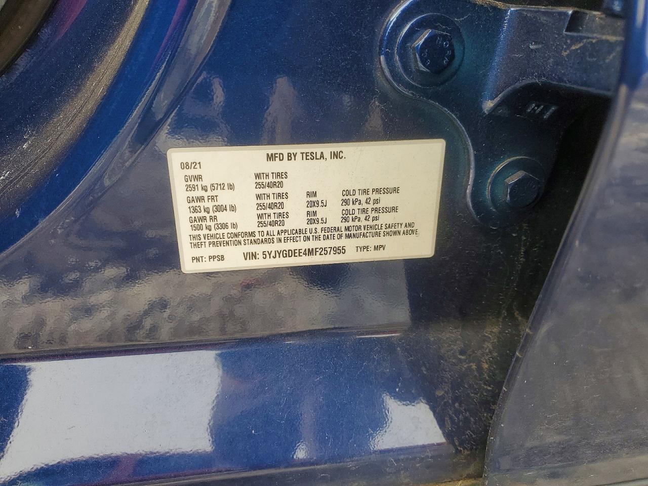 2021 TESLA MODEL Y photo 13