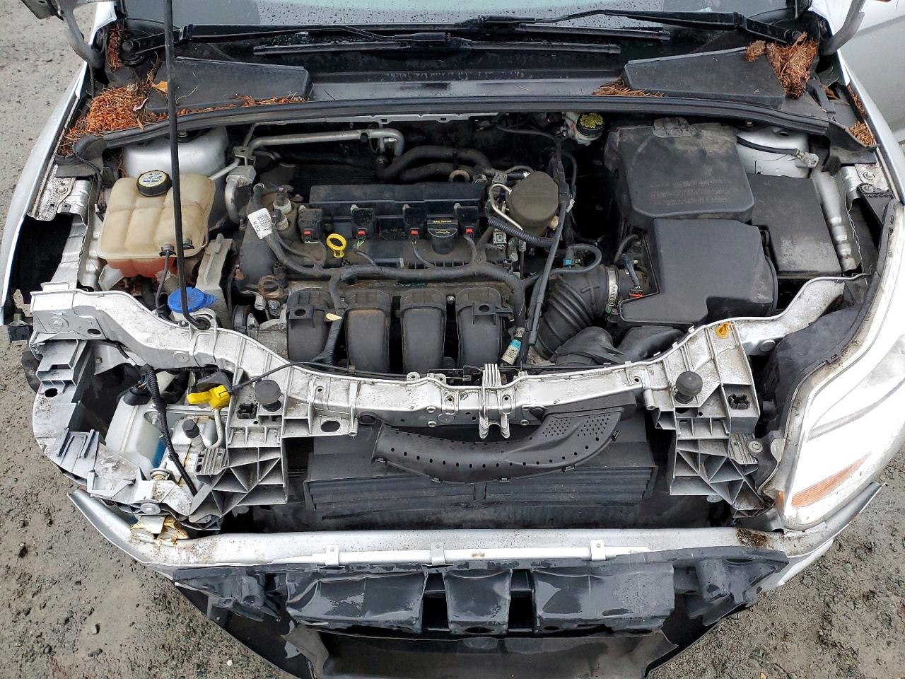 2013 FORD FOCUS SE photo 11