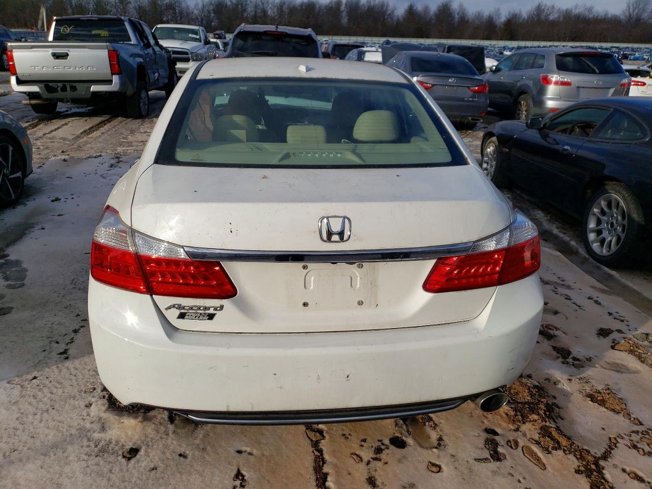 2013 HONDA ACCORD EXL photo 6