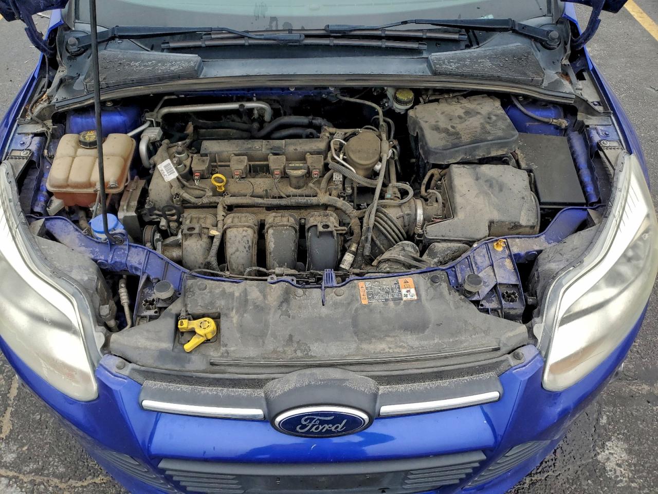 2014 FORD FOCUS SE photo 11