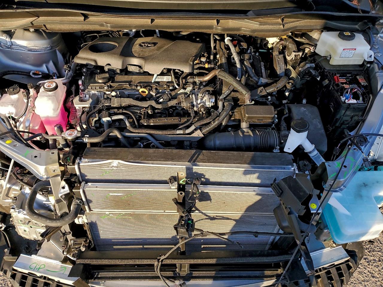 2025 TOYOTA SIENNA XLE photo 12
