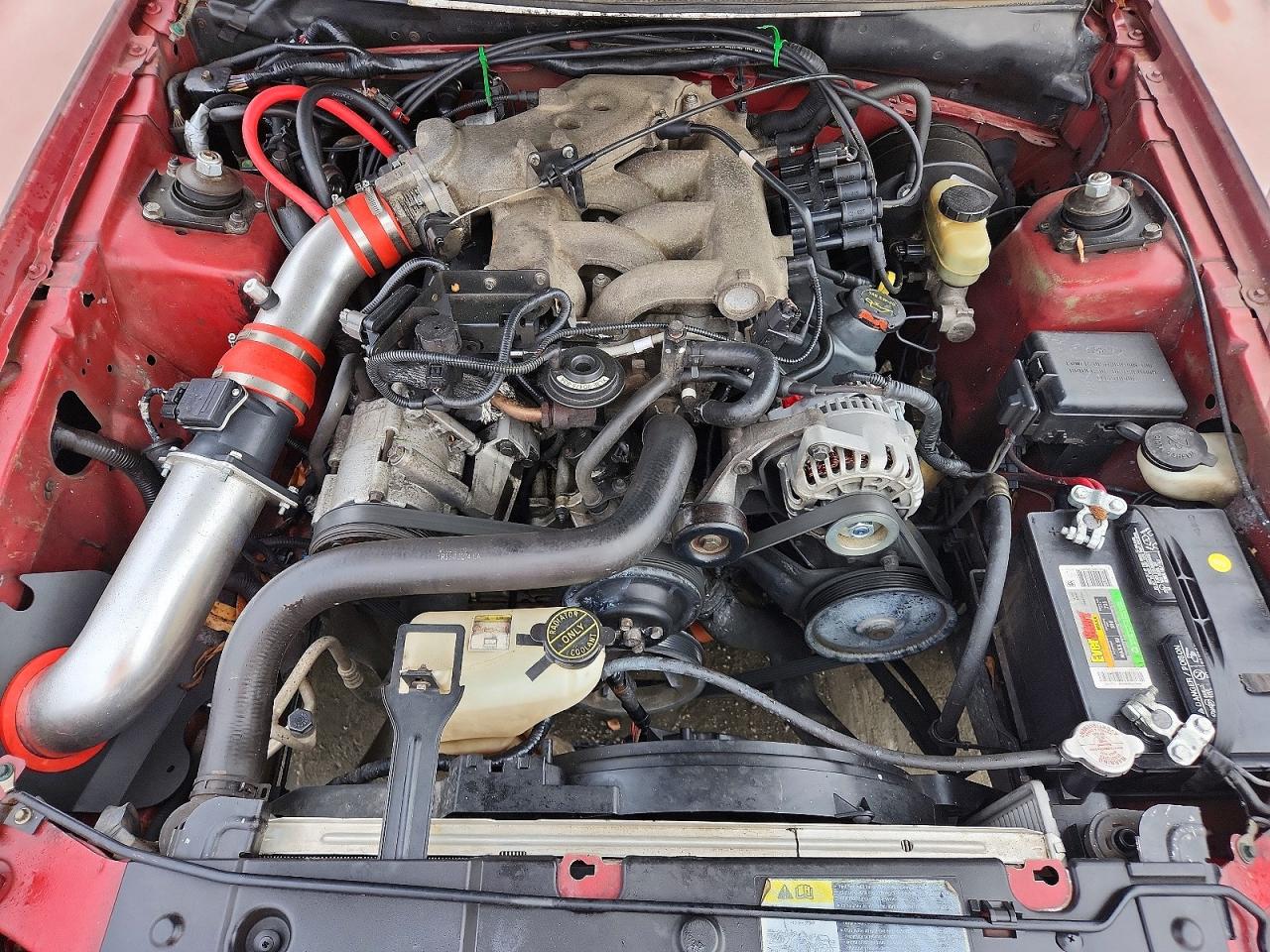 2003 FORD MUSTANG photo 11