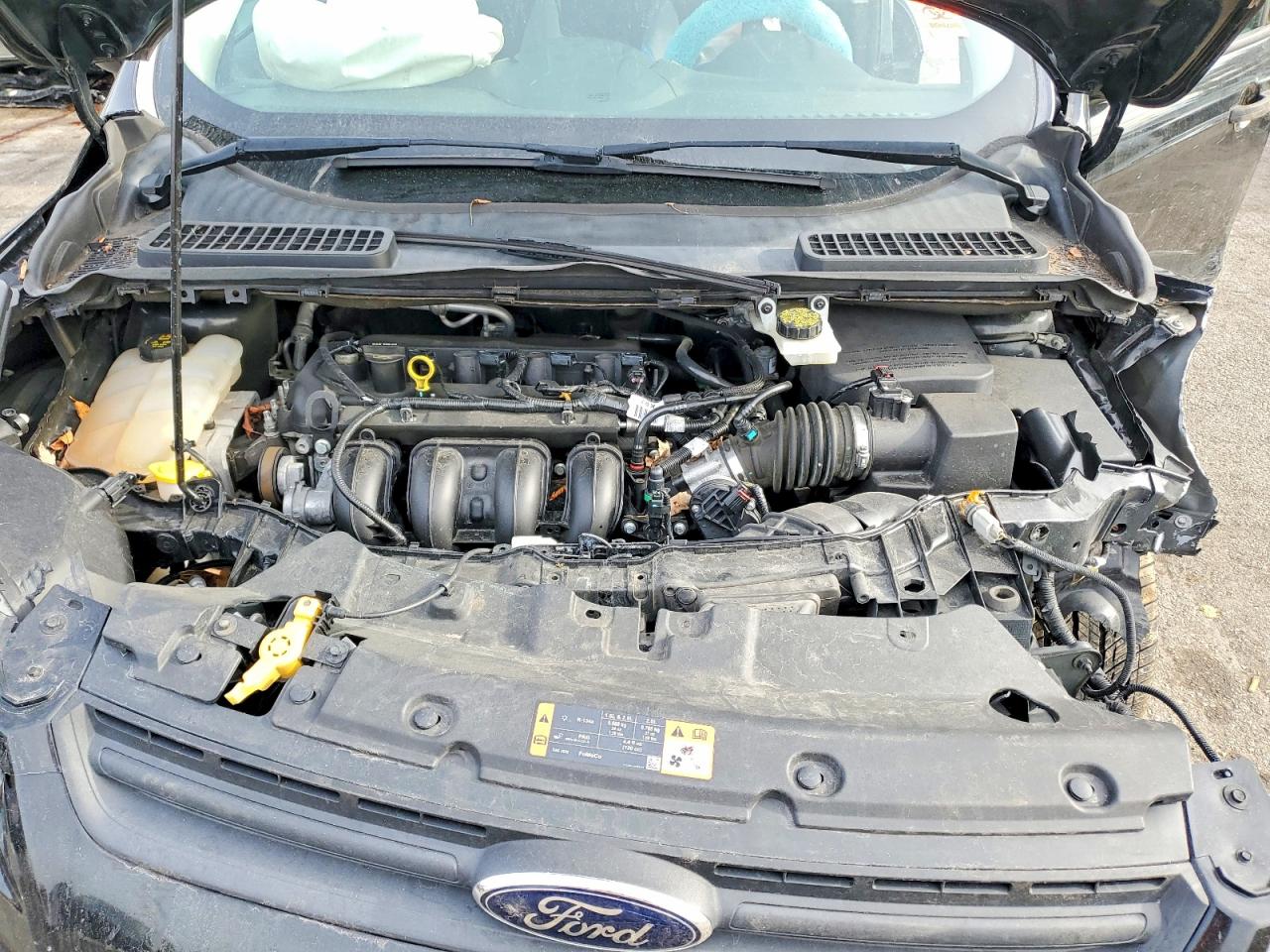 2014 FORD ESCAPE S photo 12