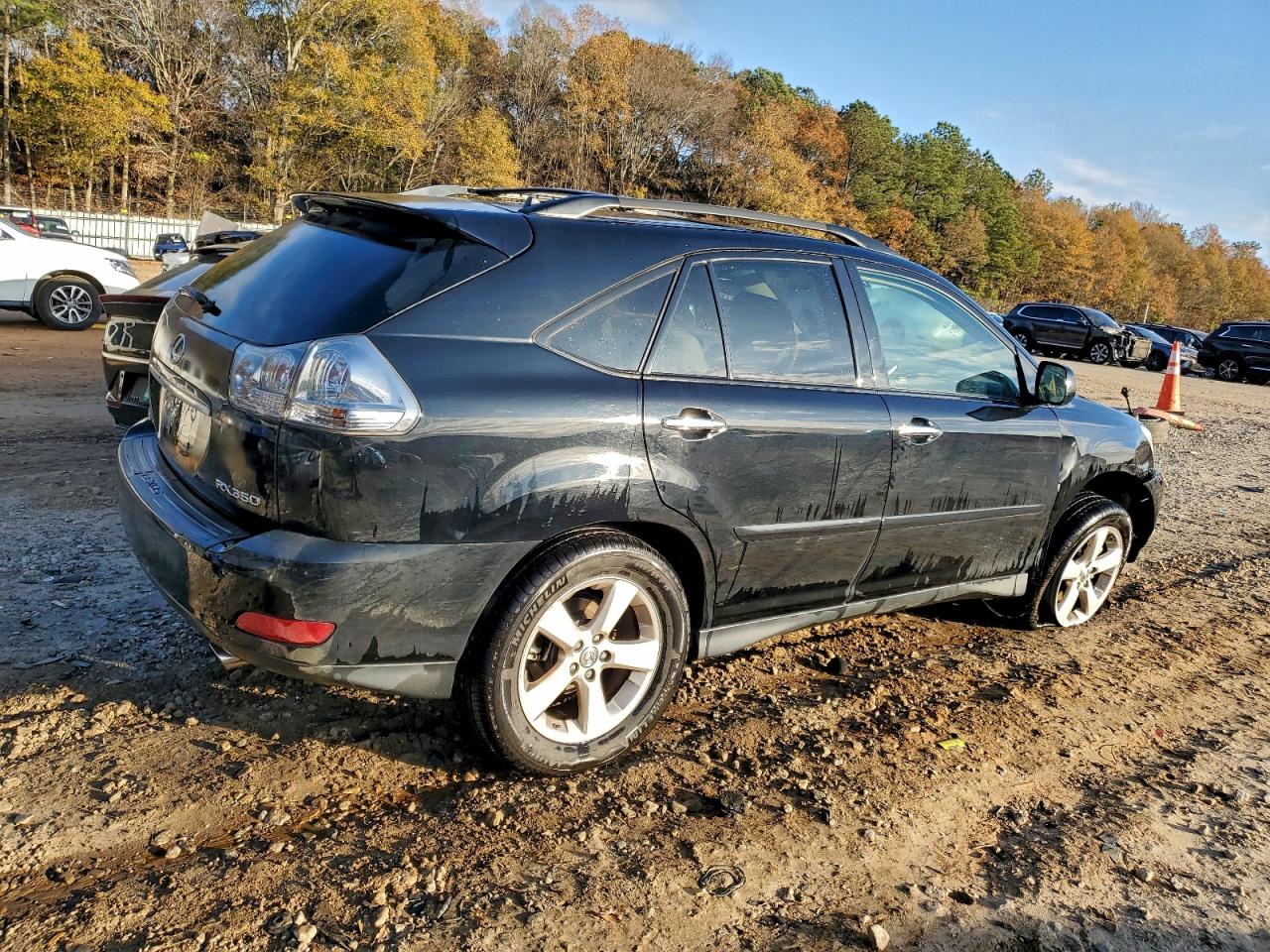 2008 LEXUS RX 350 photo 3