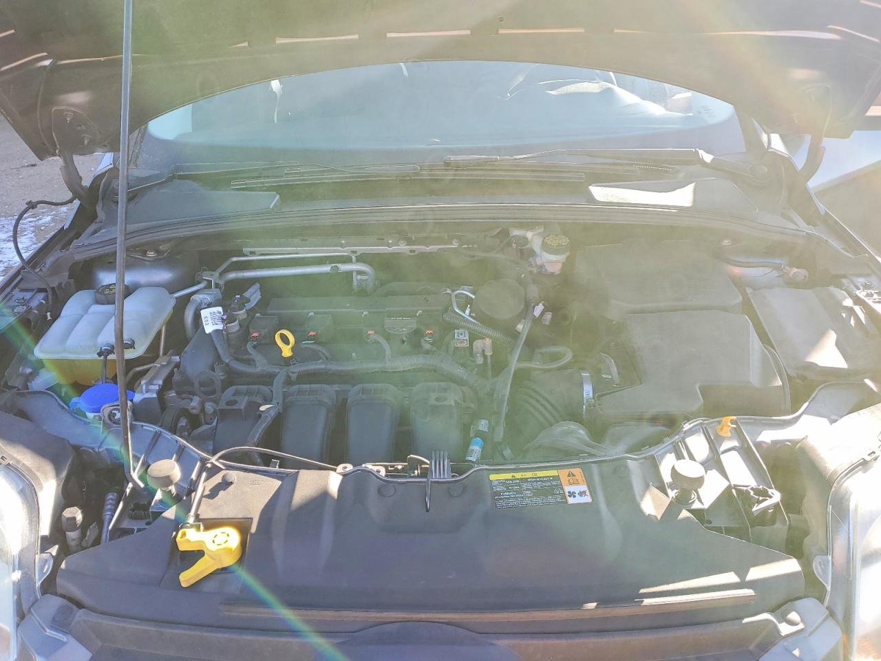 2014 FORD FOCUS SE photo 11