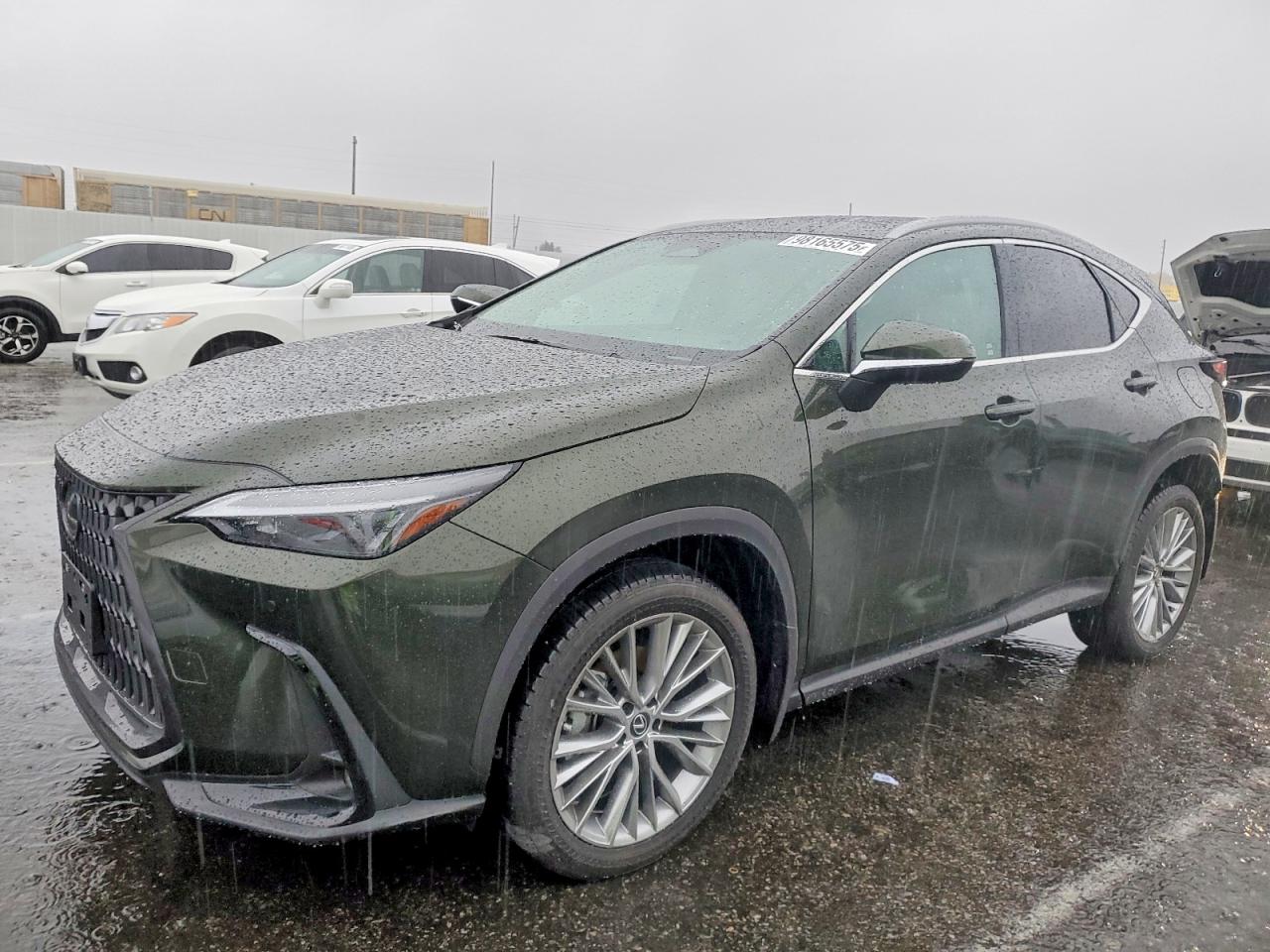 2025 LEXUS NX