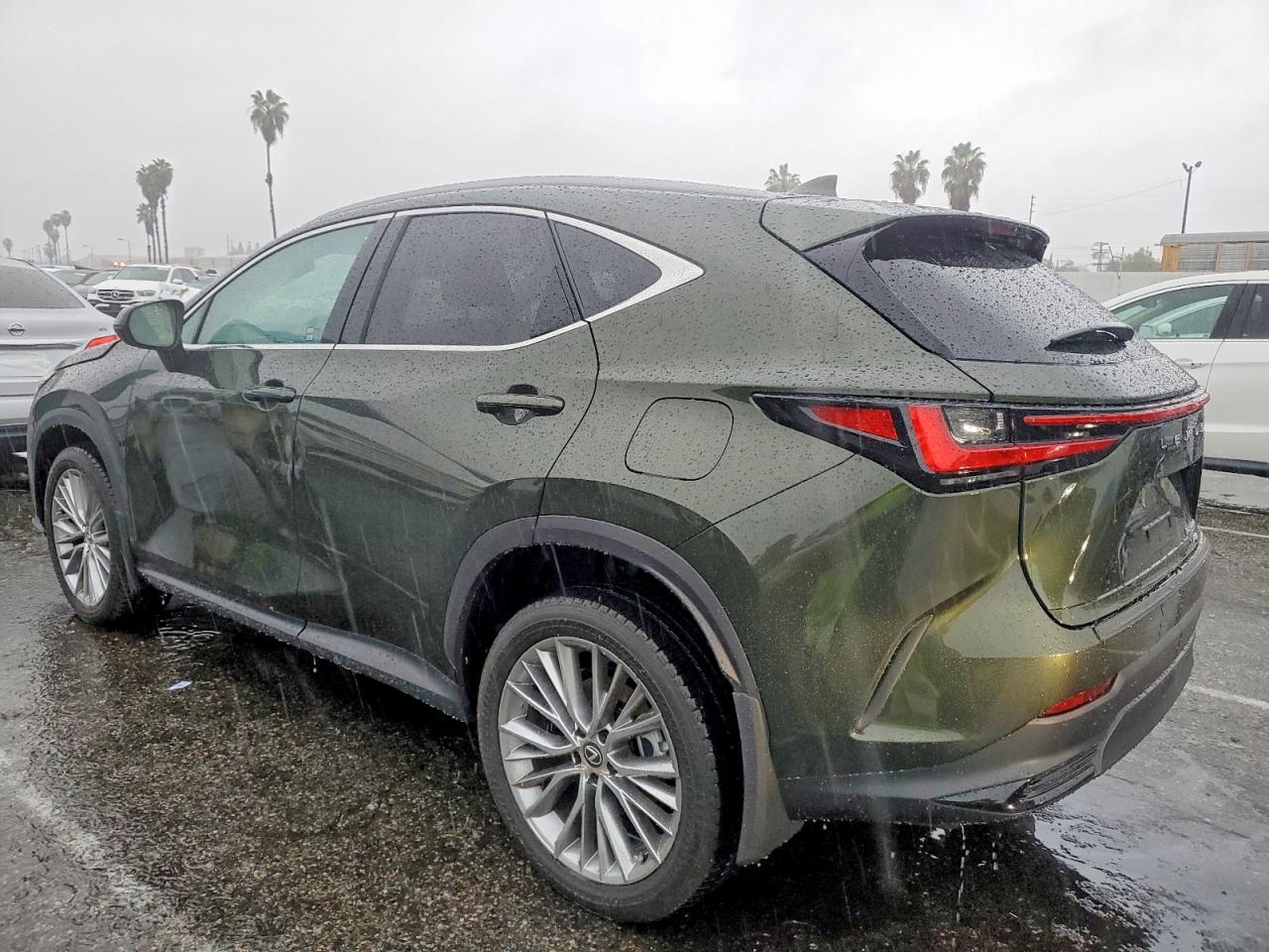 2025 LEXUS NX 350H BASE photo 2