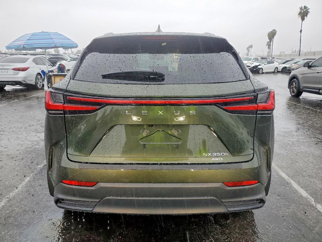 2025 LEXUS NX 350H BASE photo 6