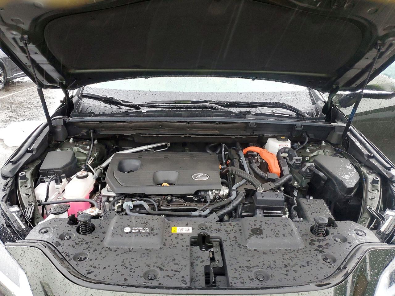 2025 LEXUS NX 350H BASE photo 12