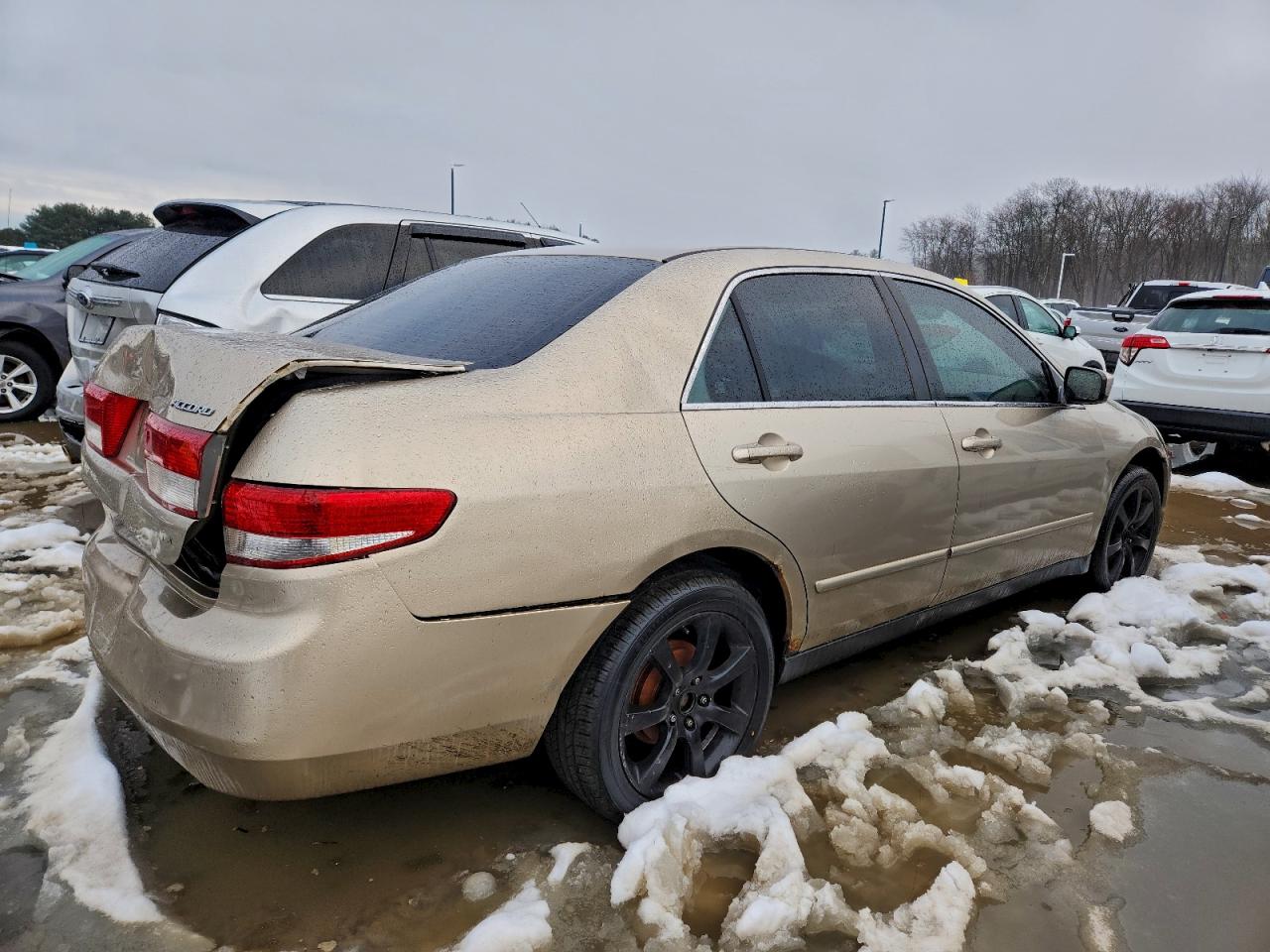 2003 HONDA ACCORD LX photo 3