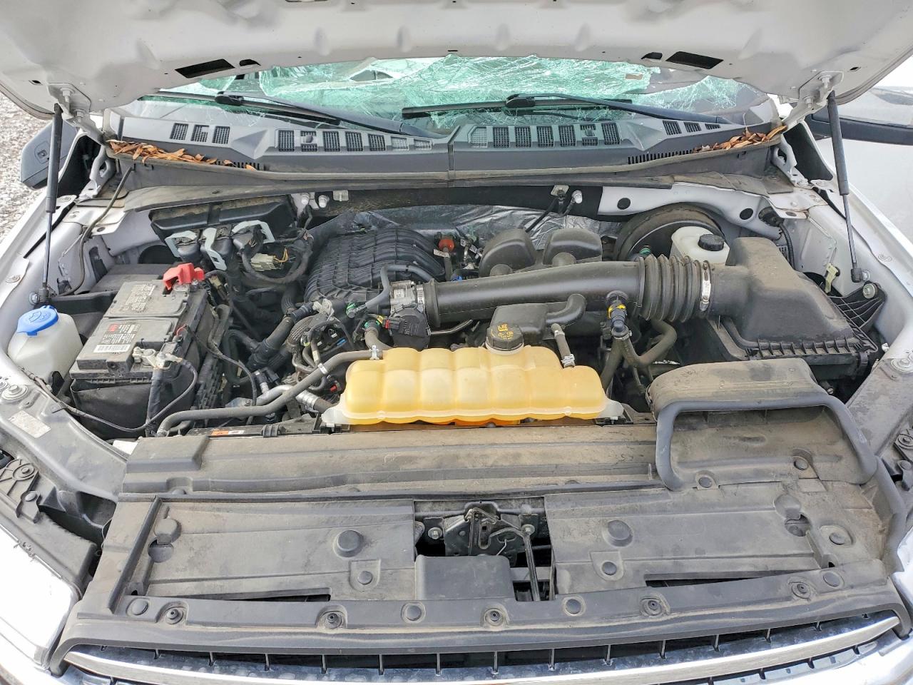 2019 FORD F150 photo 11