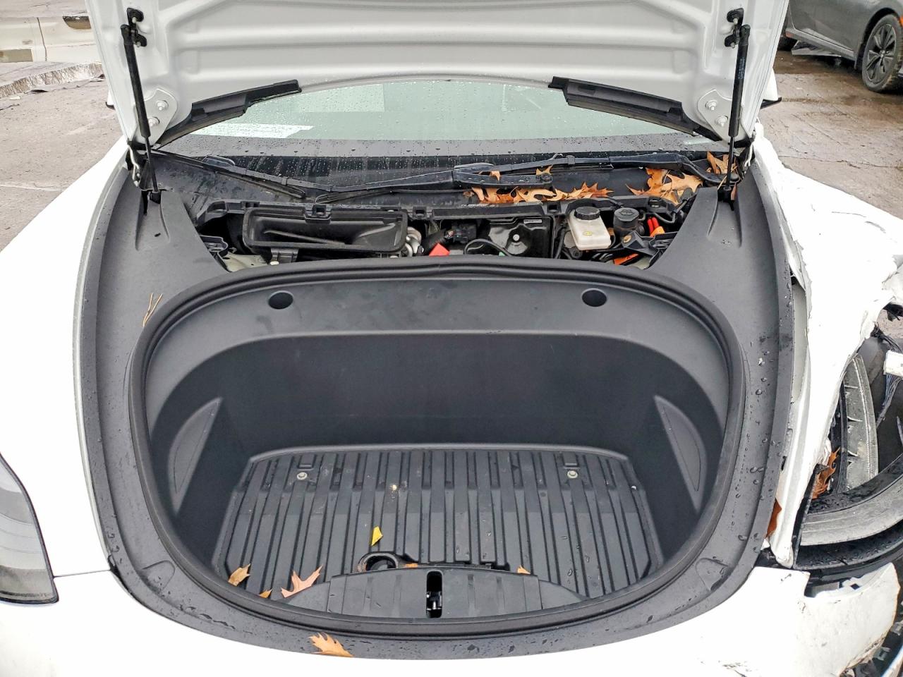 2022 TESLA MODEL 3 photo 11