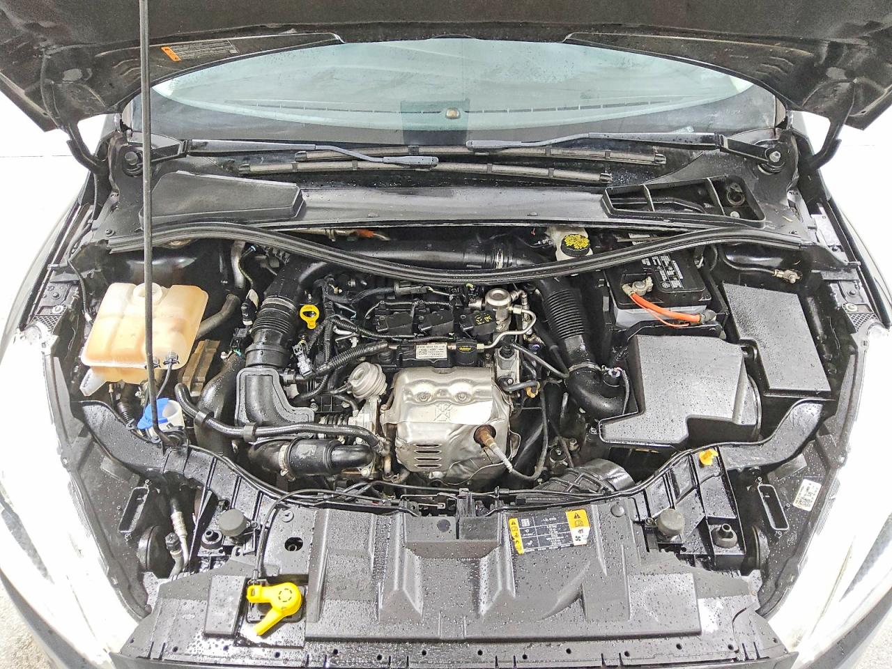 2018 FORD FOCUS SE photo 11