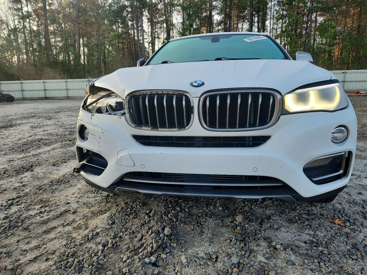 2017 BMW X6 SDRIVE35I photo 9