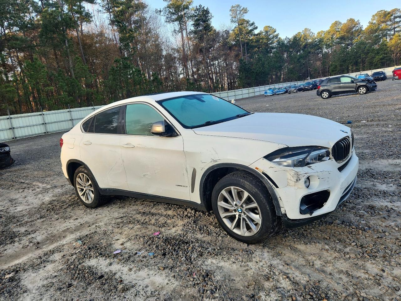 2017 BMW X6 SDRIVE35I photo 7