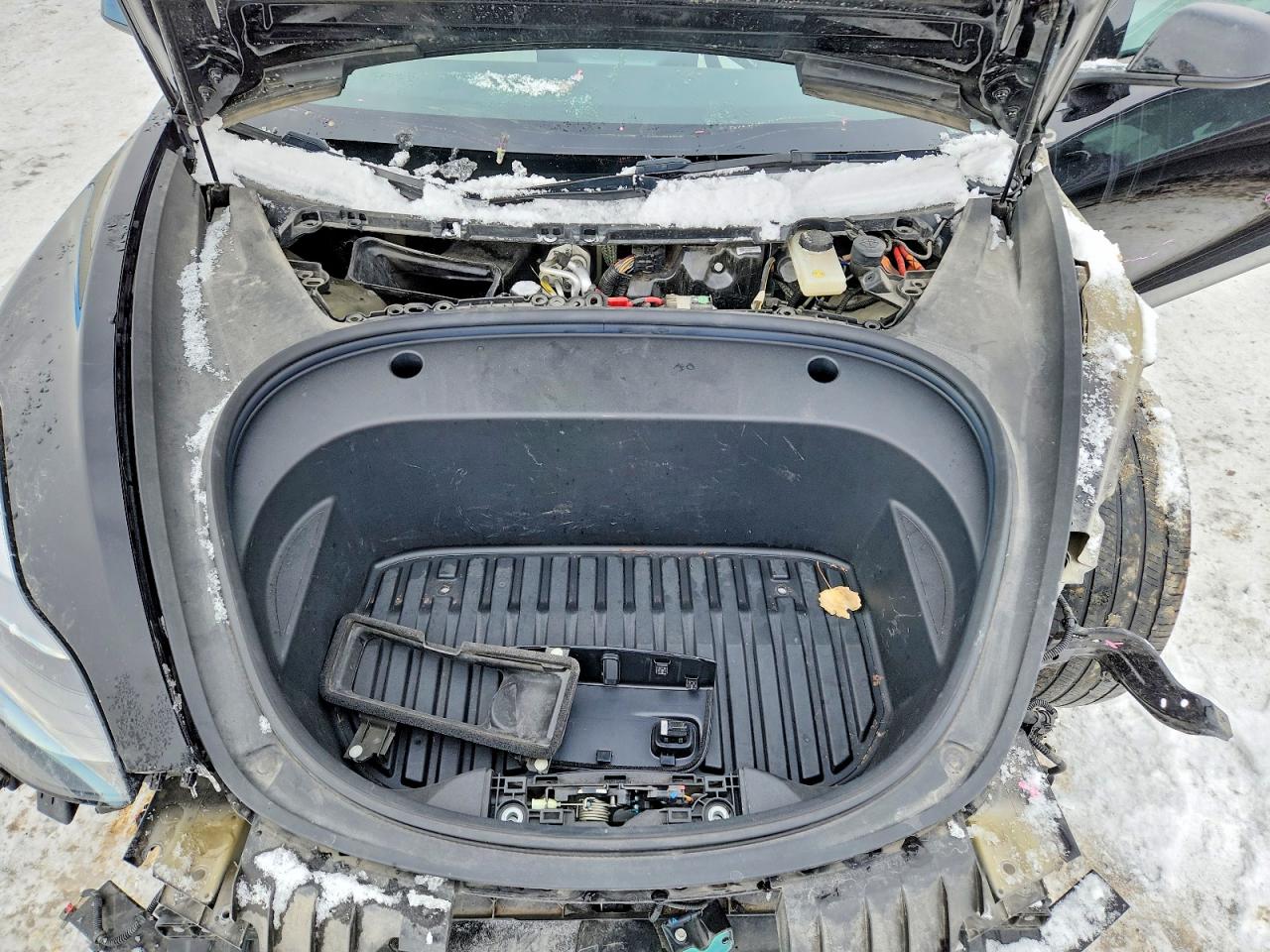 2022 TESLA MODEL 3 photo 11