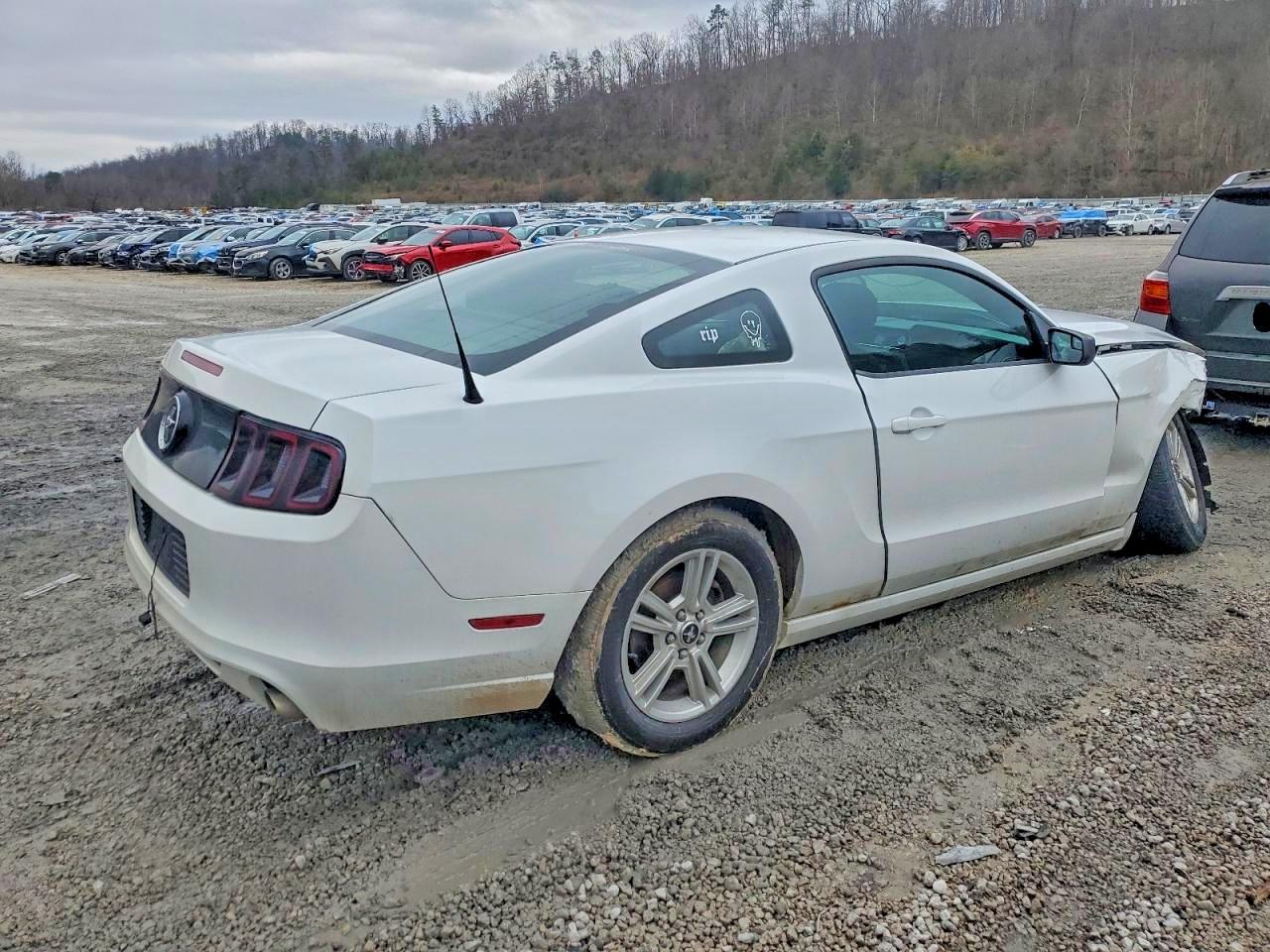 2014 FORD MUSTANG photo 3