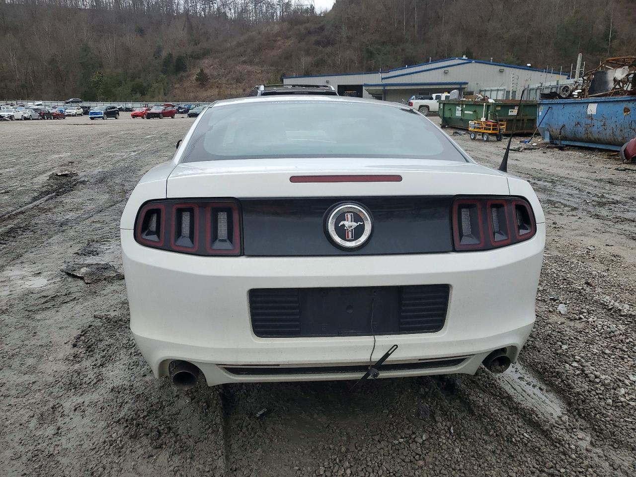 2014 FORD MUSTANG photo 6