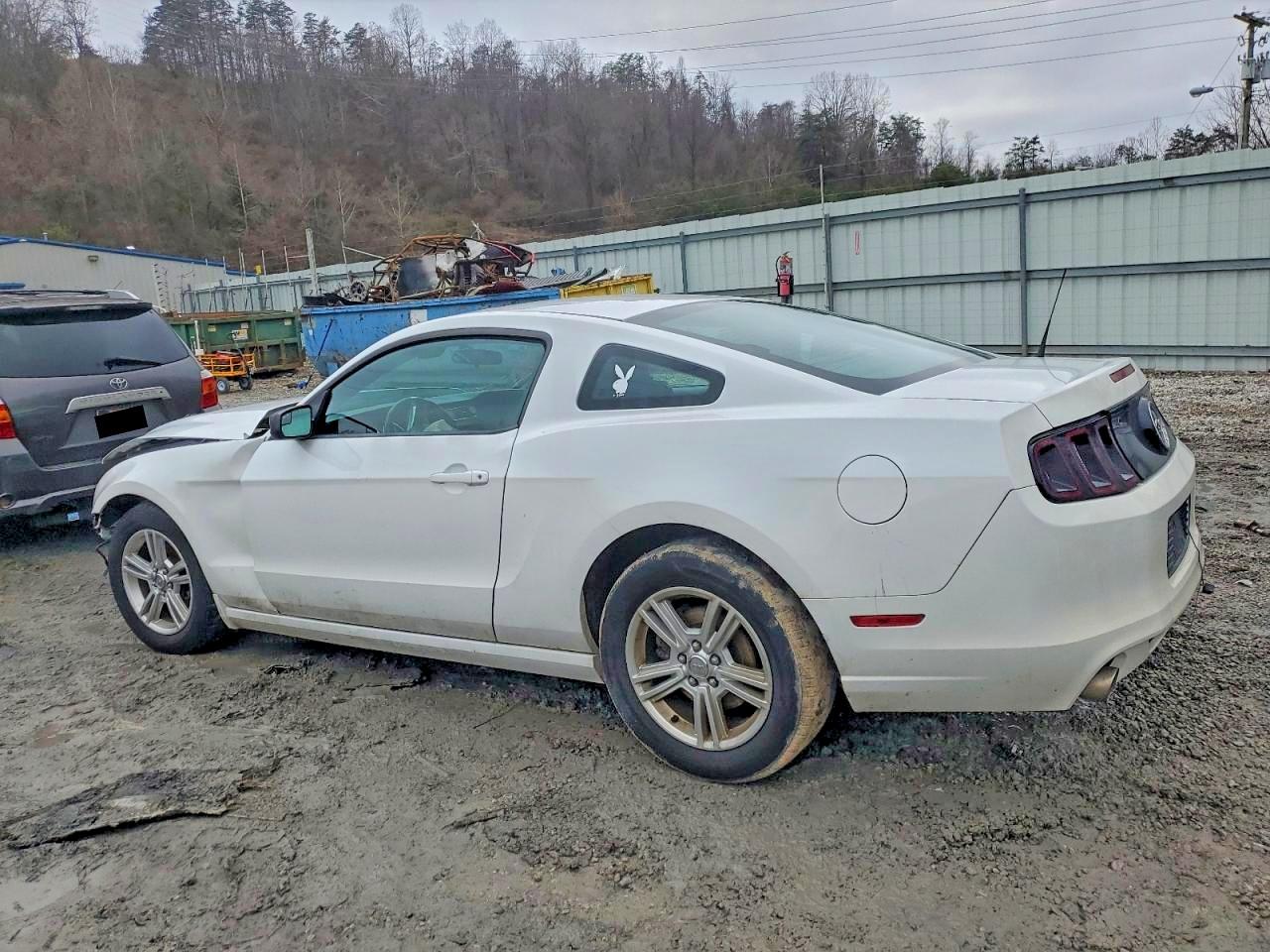 2014 FORD MUSTANG photo 2