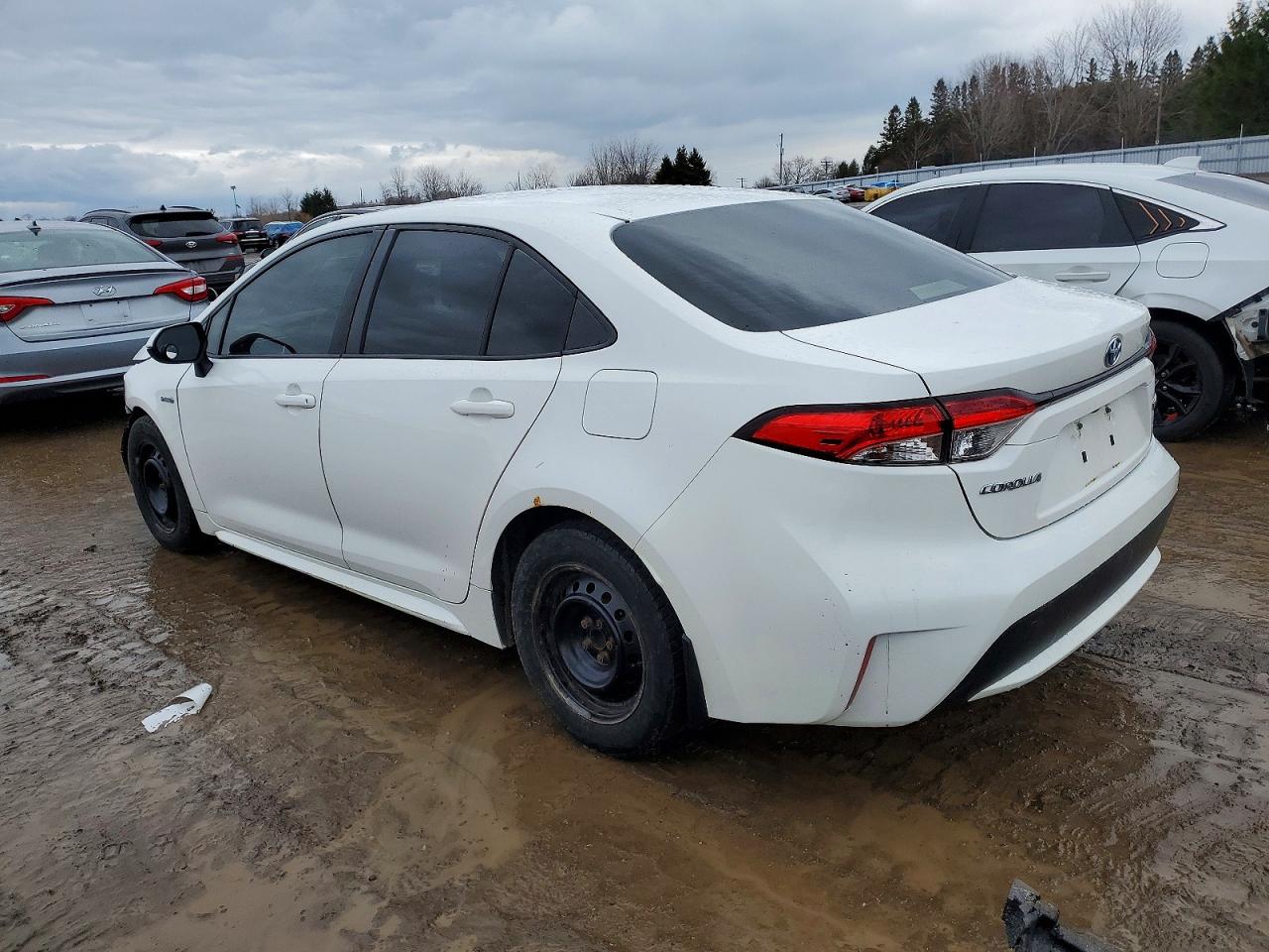 2020 TOYOTA COROLLA LE photo 2