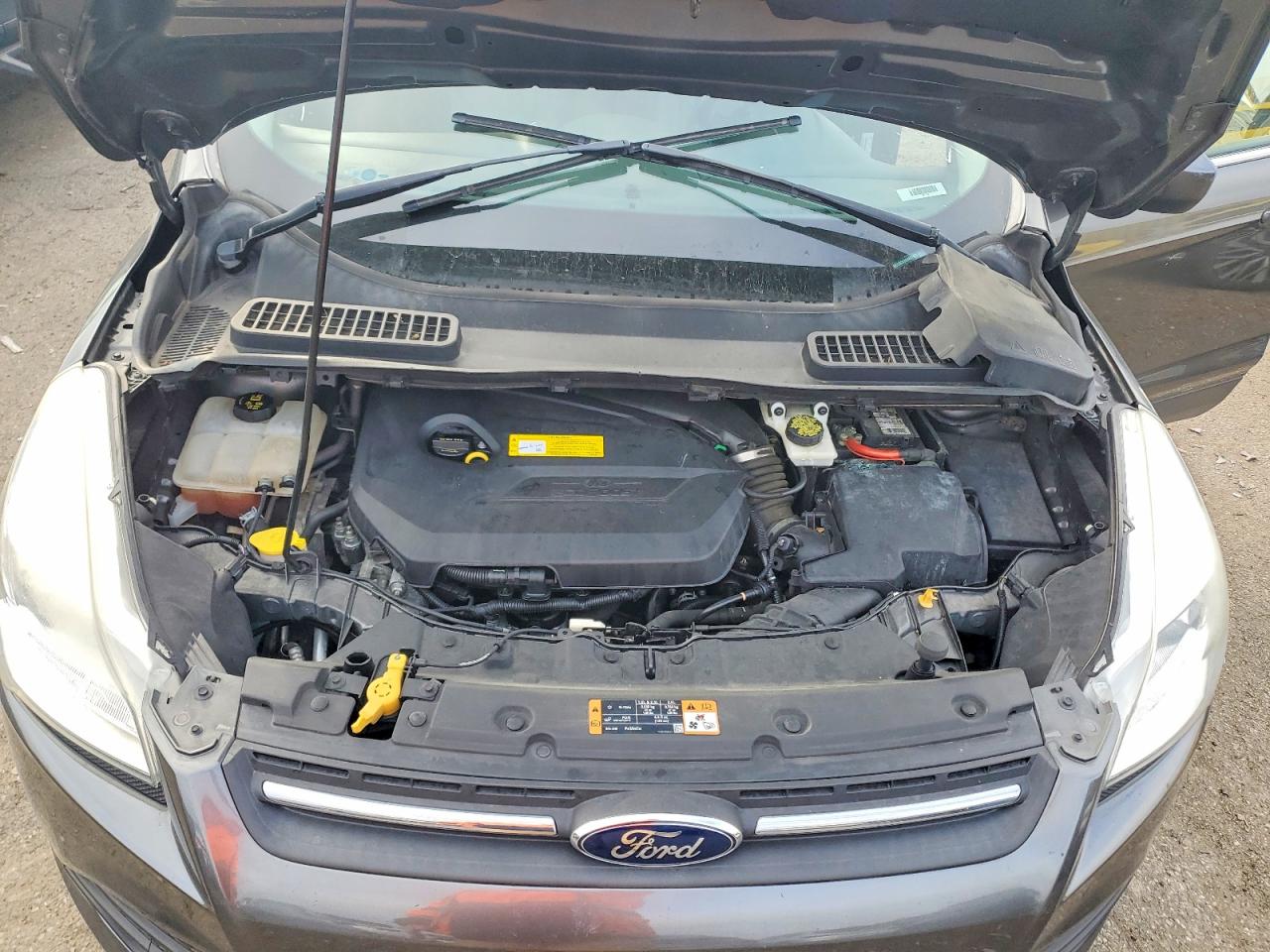 2016 FORD ESCAPE SE photo 12