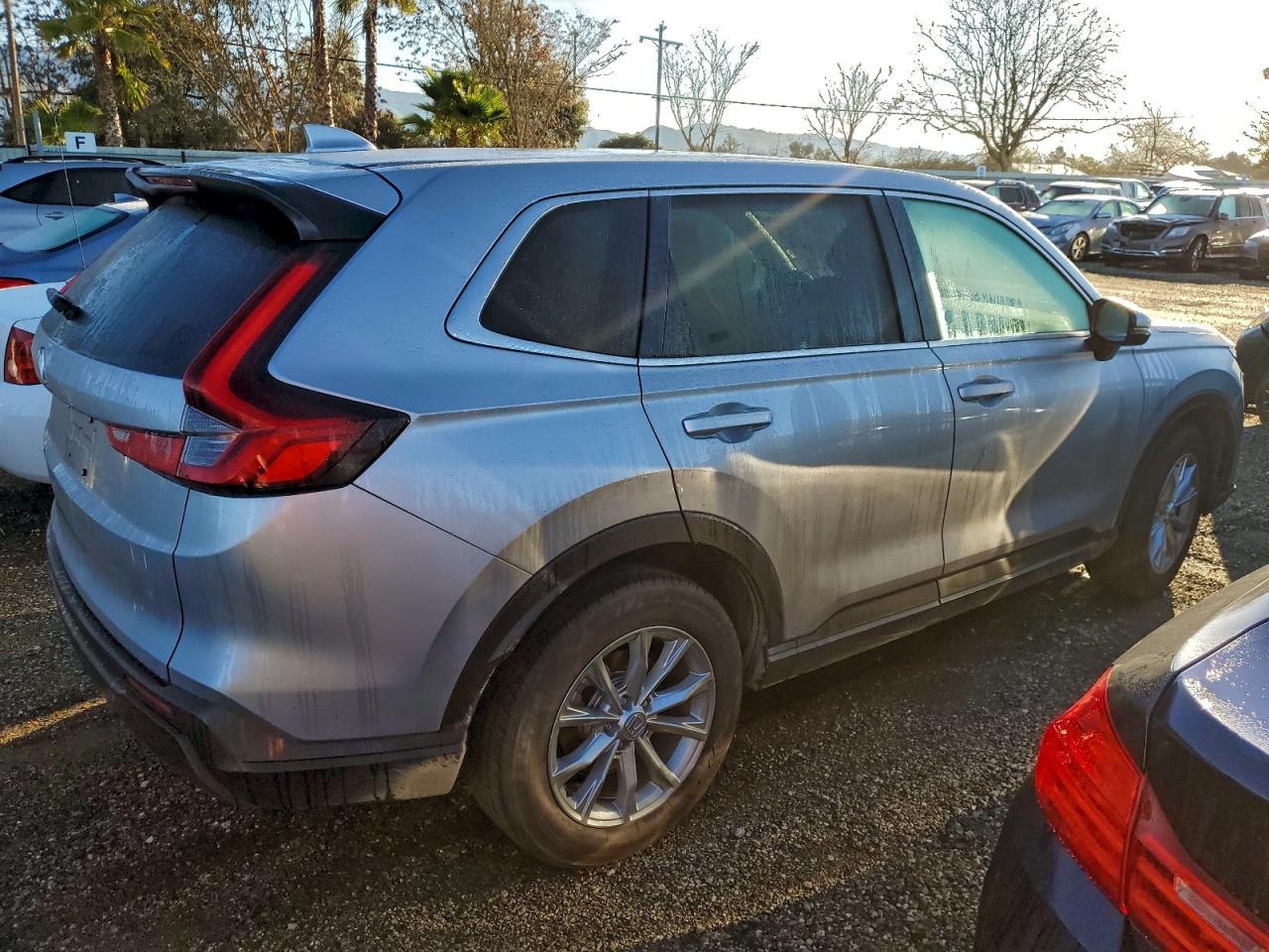2025 HONDA CR-V EX photo 5