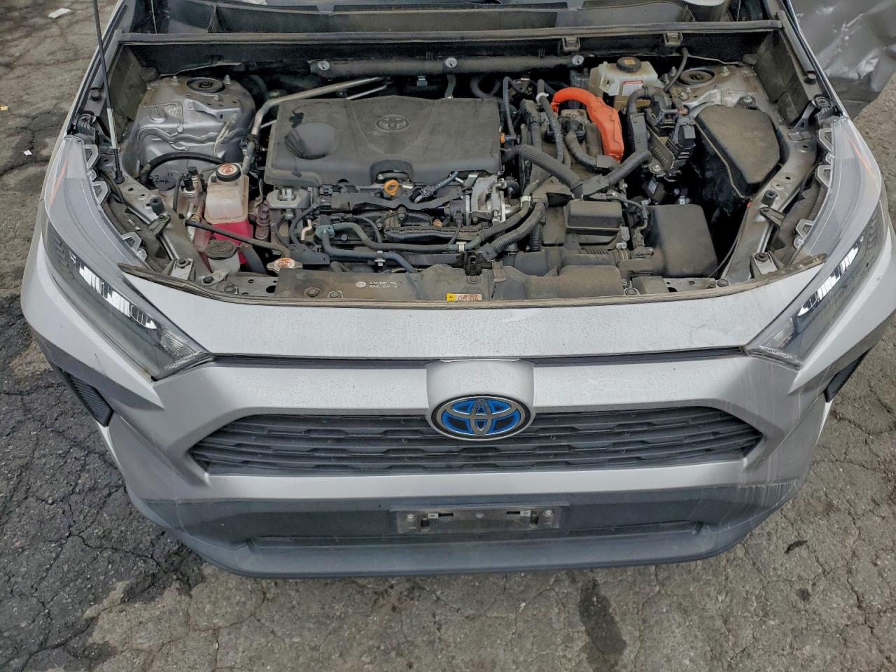 2021 TOYOTA RAV4 LE photo 12