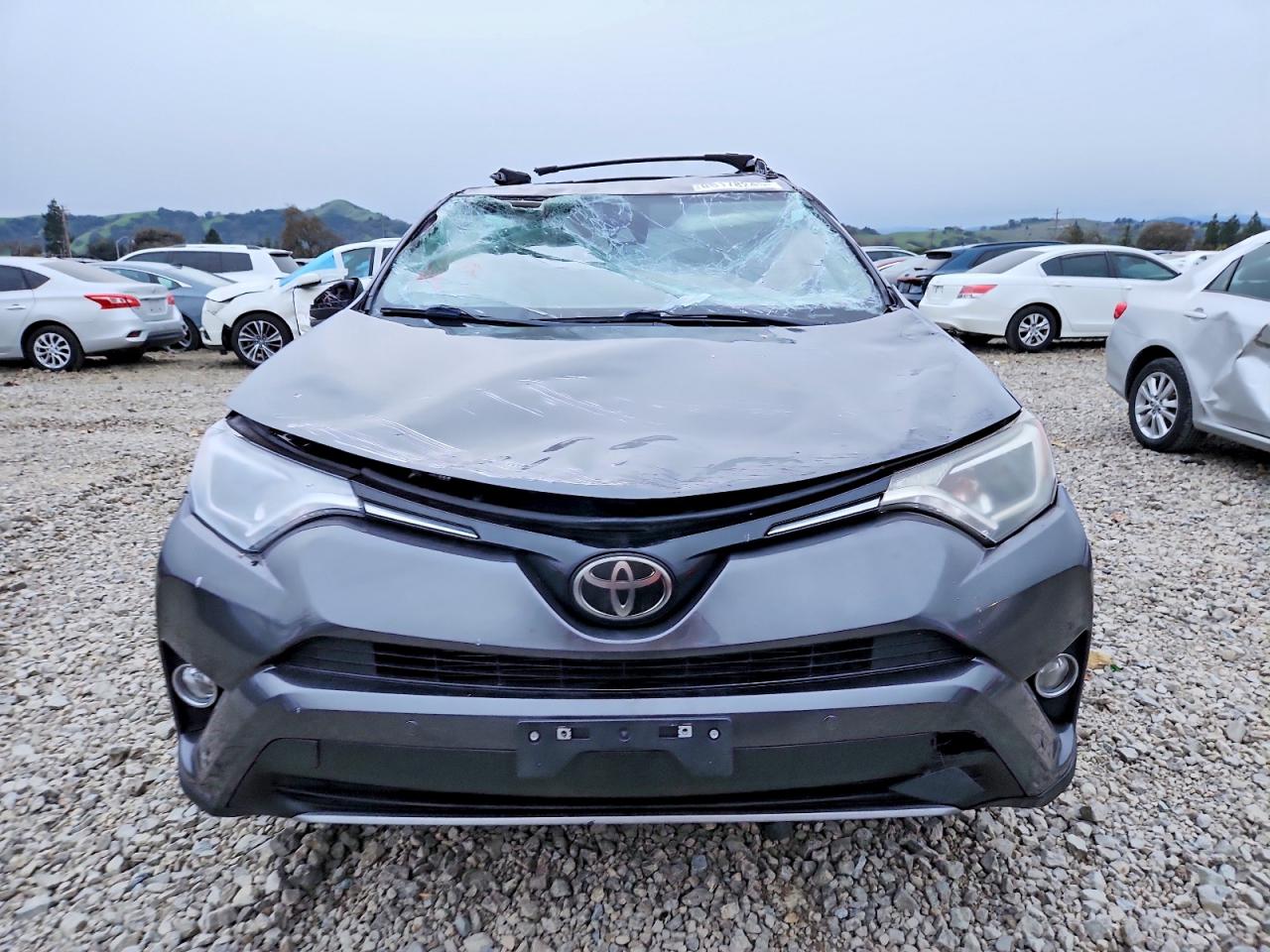 2017 TOYOTA RAV4 XLE photo 5