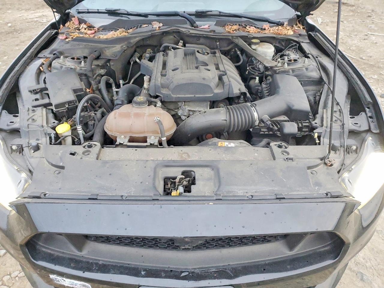 2015 FORD MUSTANG photo 11
