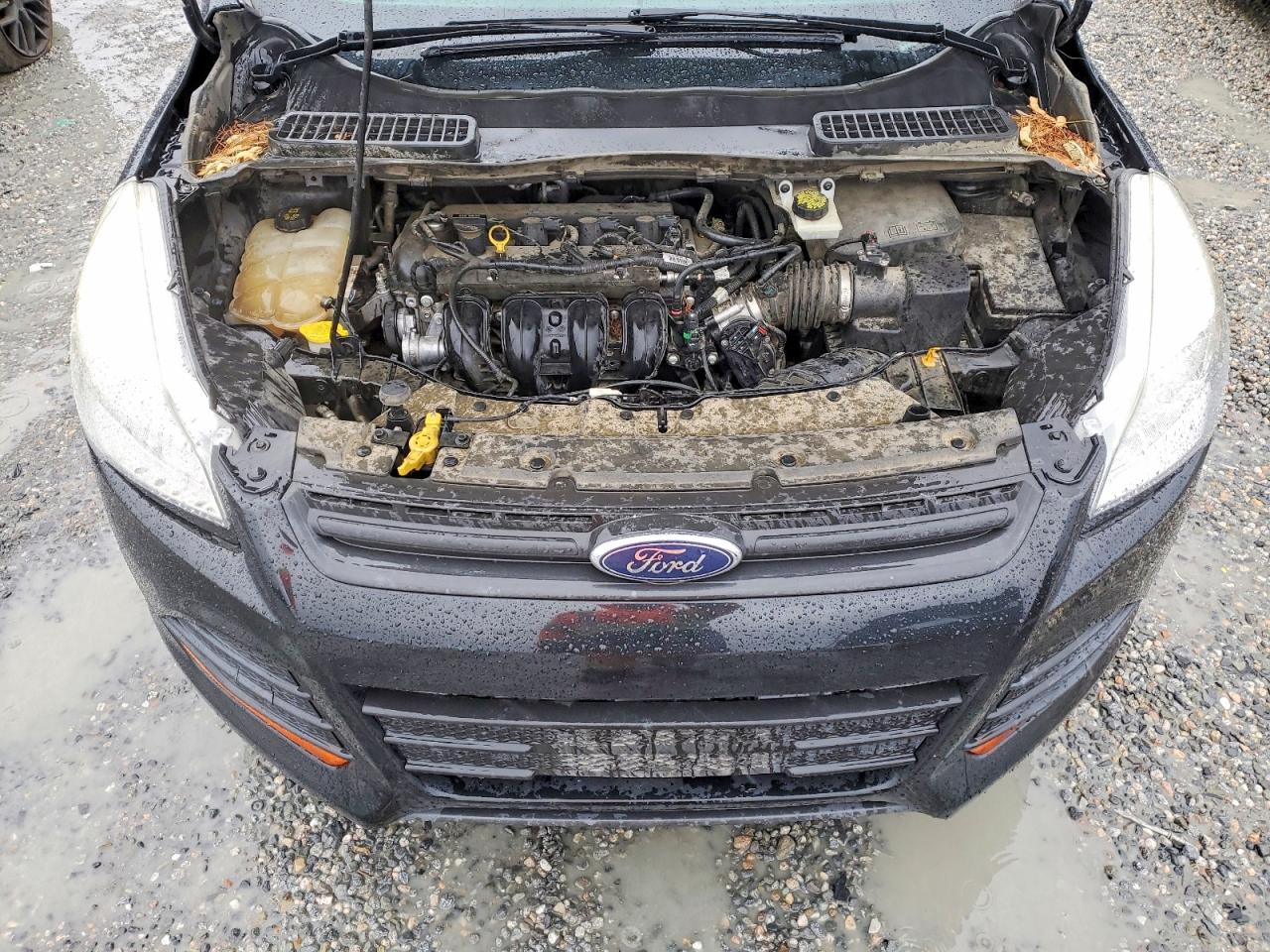 2016 FORD ESCAPE S photo 12