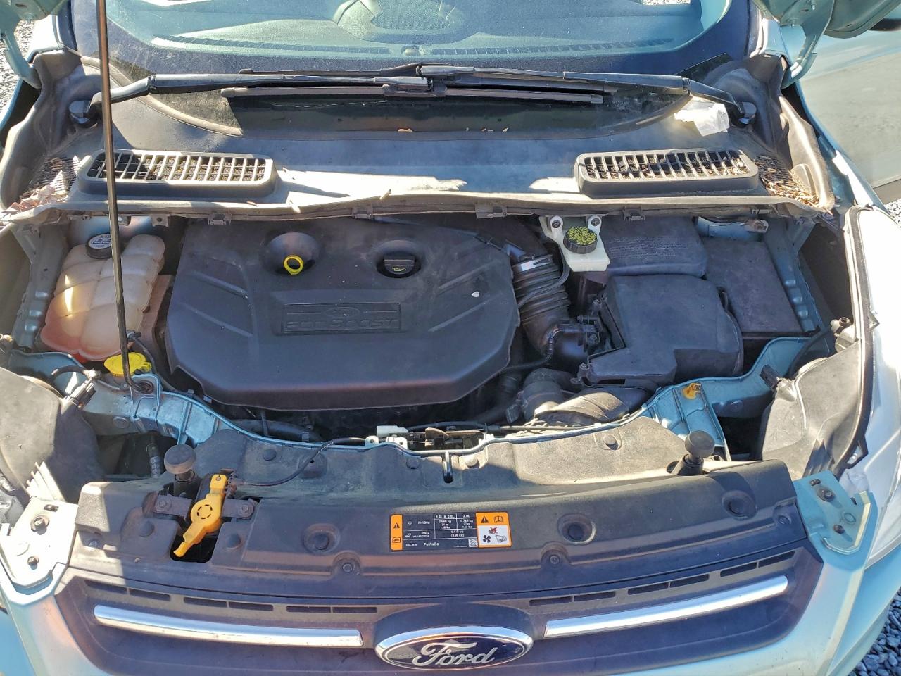 2013 FORD ESCAPE SE photo 12