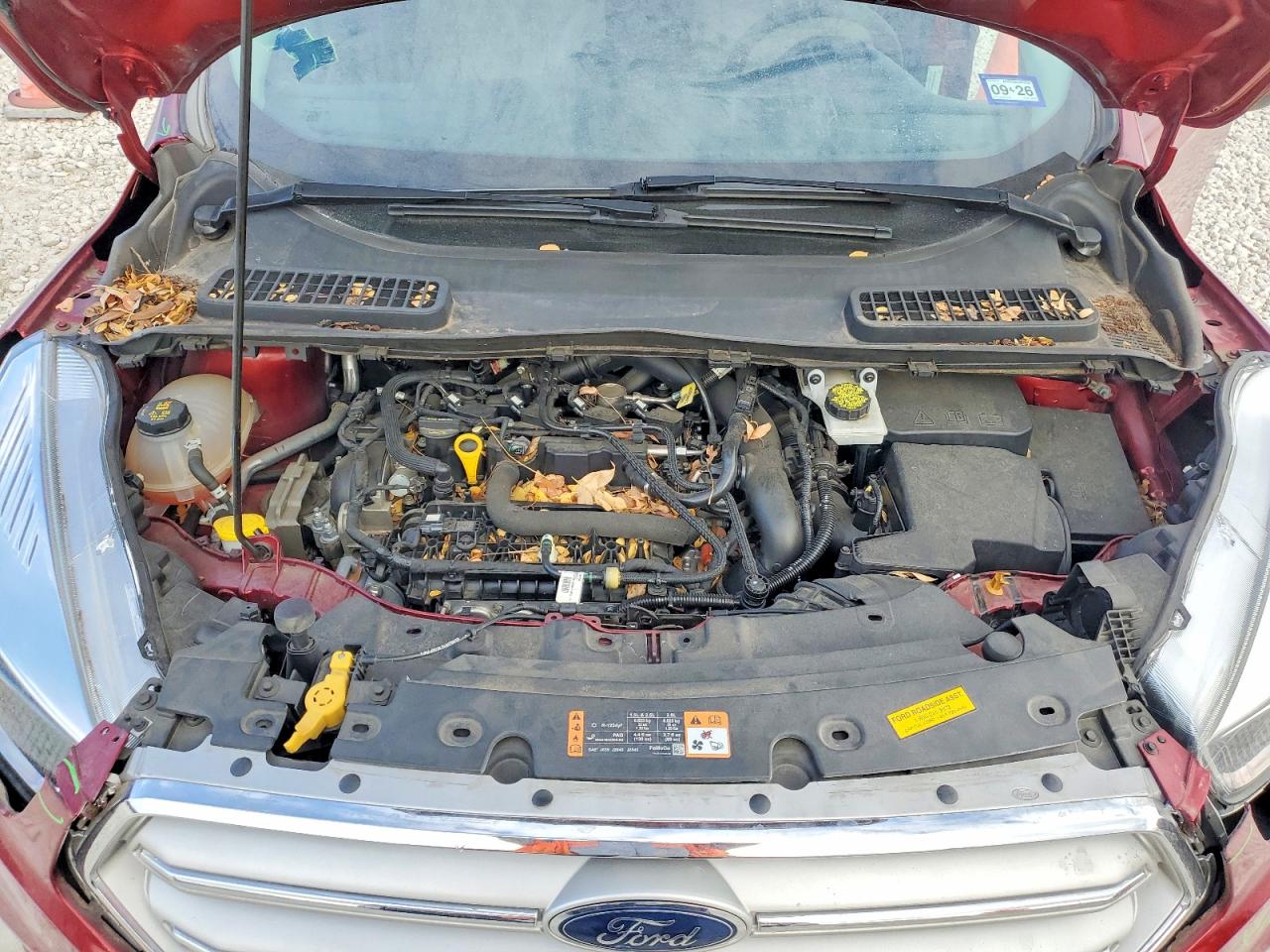 2019 FORD ESCAPE SE photo 12