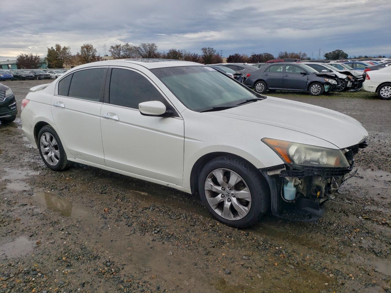 2008 HONDA ACCORD EXL photo 4