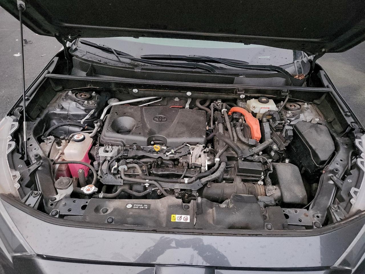 2019 TOYOTA RAV4 LE photo 12