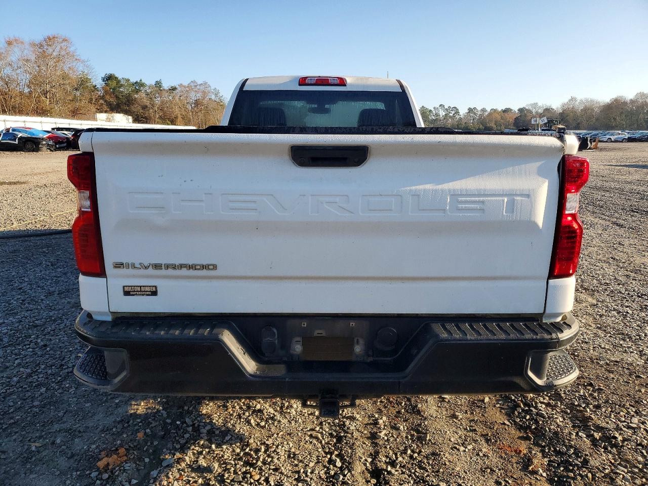2020 CHEVROLET SILVERADO C1500 photo 6
