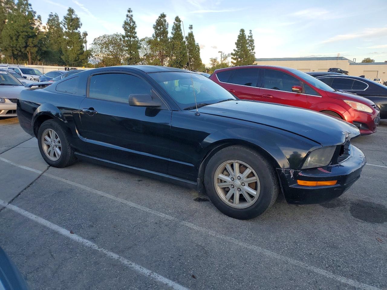 2007 FORD MUSTANG photo 7