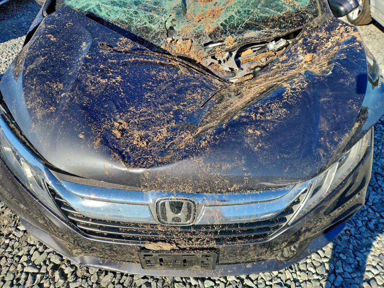 2019 HONDA ODYSSEY EX photo 12