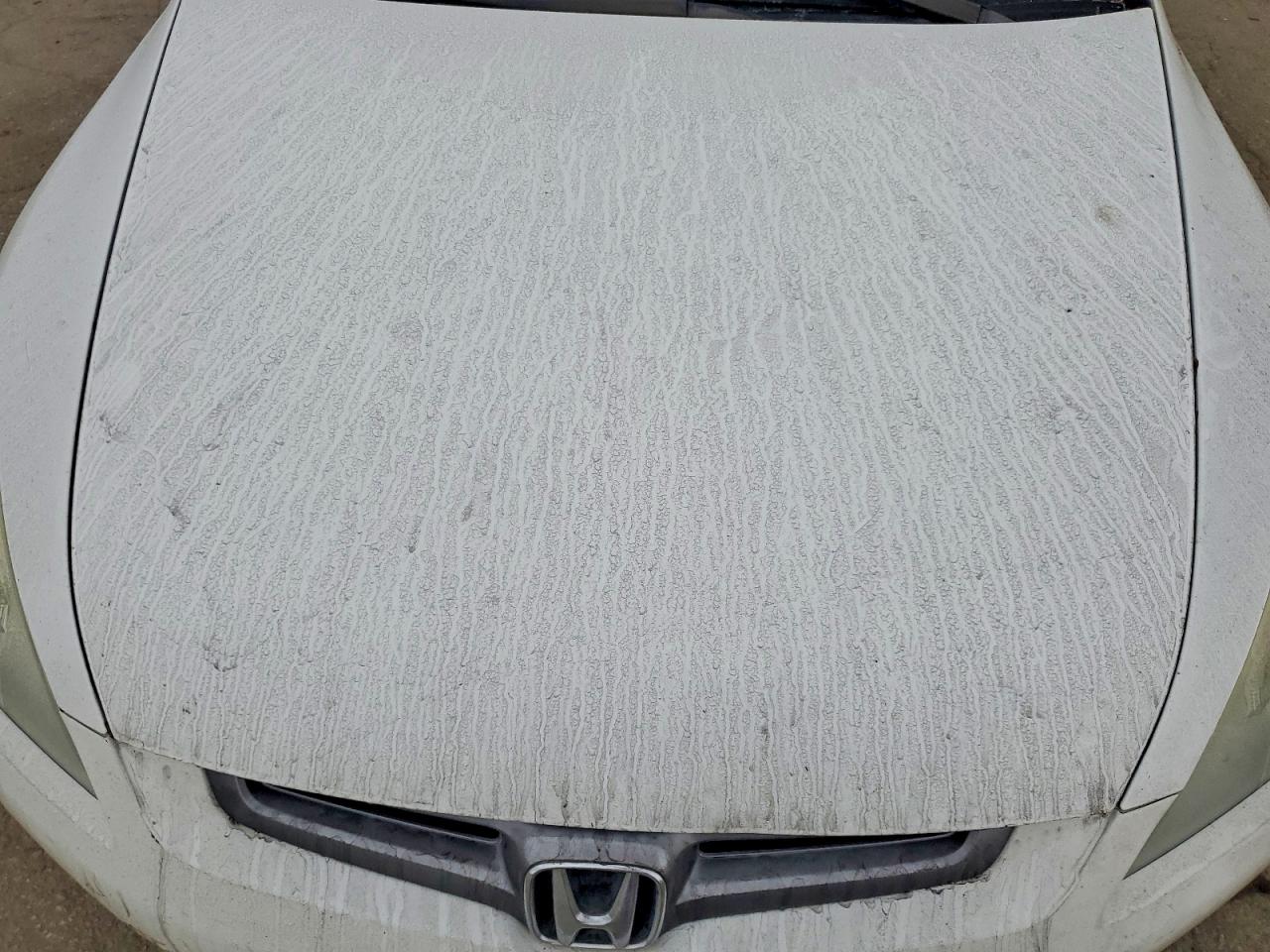 2004 HONDA ACCORD EX photo 11