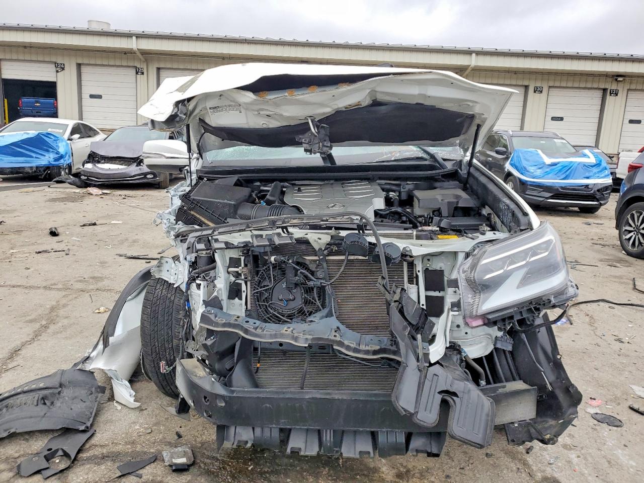 2023 LEXUS GX 460 photo 5